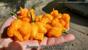 Swamp Thing Yellow - Pepper Seeds - White Hot Peppers