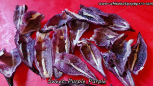 Sweet Purple (Purple) - Pepper Seeds - White Hot Peppers