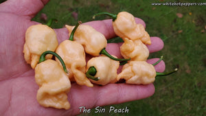 The Sin Peach - Pepper Seeds - White Hot Peppers