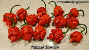 Trinidad Scorpion - Pepper Seeds - White Hot Peppers