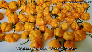 Trinidad Scorpion Butch T Yellow - Pepper Seeds - White Hot Peppers