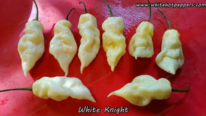 White Knight - Pepper Seeds - White Hot Peppers