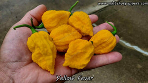 Yellow Fever - Pepper Seeds - White Hot Peppers