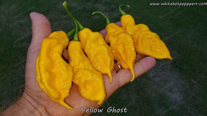 Yellow Ghost - Pepper Seeds - White Hot Peppers