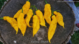 Yellow Ghost - Pepper Seeds - White Hot Peppers