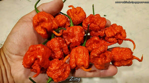 Zing - Pepper Seeds - White Hot Peppers