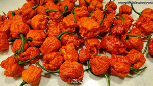 Zing - Pepper Seeds - White Hot Peppers