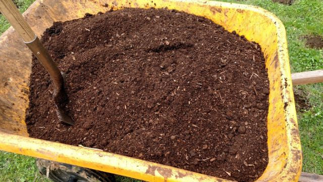Growing Hot Peppers from Seed: My Soil Mix for growing hot and superho -  White Hot Peppers LLC