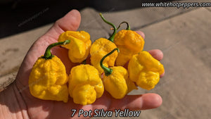 7 Pot Silva Yellow - Pepper Seeds - White Hot Peppers