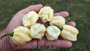 MA Pale Rider - Pepper Seeds - White Hot Peppers
