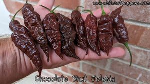Bhut Jolokia (Ghost) Chocolate - Pepper Seeds - White Hot Peppers