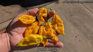 Crack Berry - Pepper Seeds - White Hot Peppers
