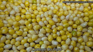 Cumari do Para - Pepper Seeds - White Hot Peppers