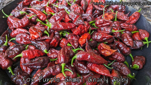 FOX Purple Ghost Gnarly Ruby - Pepper Seeds - White Hot Peppers