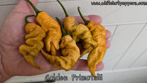 Golden Primotalii - Pepper Seeds - White Hot Peppers