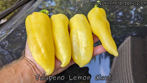 Jalapeño Lemon Giant - Pepper Seeds - White Hot Peppers