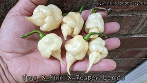 Jay's x Pink x Reaper Lemon - Pepper Seeds - White Hot Peppers