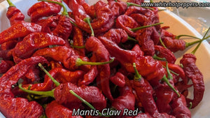 Mantis Claw Red - Pepper Seeds - White Hot Peppers