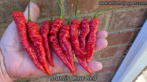 Mantis Claw Red - Pepper Seeds - White Hot Peppers