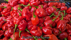 Fadda's Reaper Perfume - Pepper Seeds - White Hot Peppers