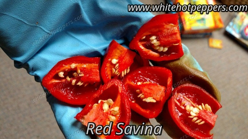 Red Savina - Pepper Seeds - White Hot Peppers