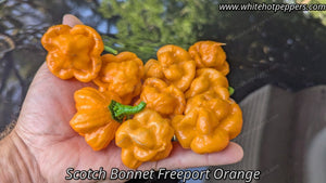 Scotch Bonnet Freeport Orange - Pepper Seeds - White Hot Peppers