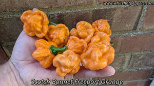 Scotch Bonnet Freeport Orange - Pepper Seeds - White Hot Peppers