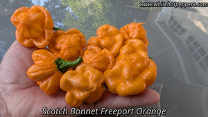 Scotch Bonnet Freeport Orange - Pepper Seeds - White Hot Peppers