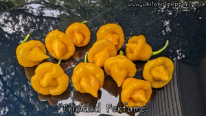 Trinidad Perfume - Pepper Seeds - White Hot Peppers