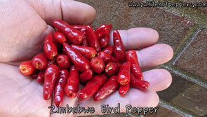Zimbabwe Bird Pepper - Pepper Seeds - White Hot Peppers
