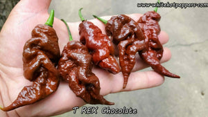 T-REX Chocolate - Pepper Seeds - White Hot Peppers
