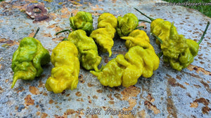 T-REX Mustard - Pepper Seeds - White Hot Peppers