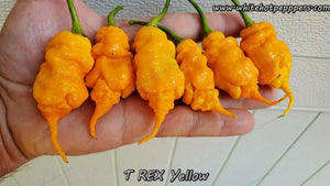 T-REX Yellow - Pepper Seeds - White Hot Peppers