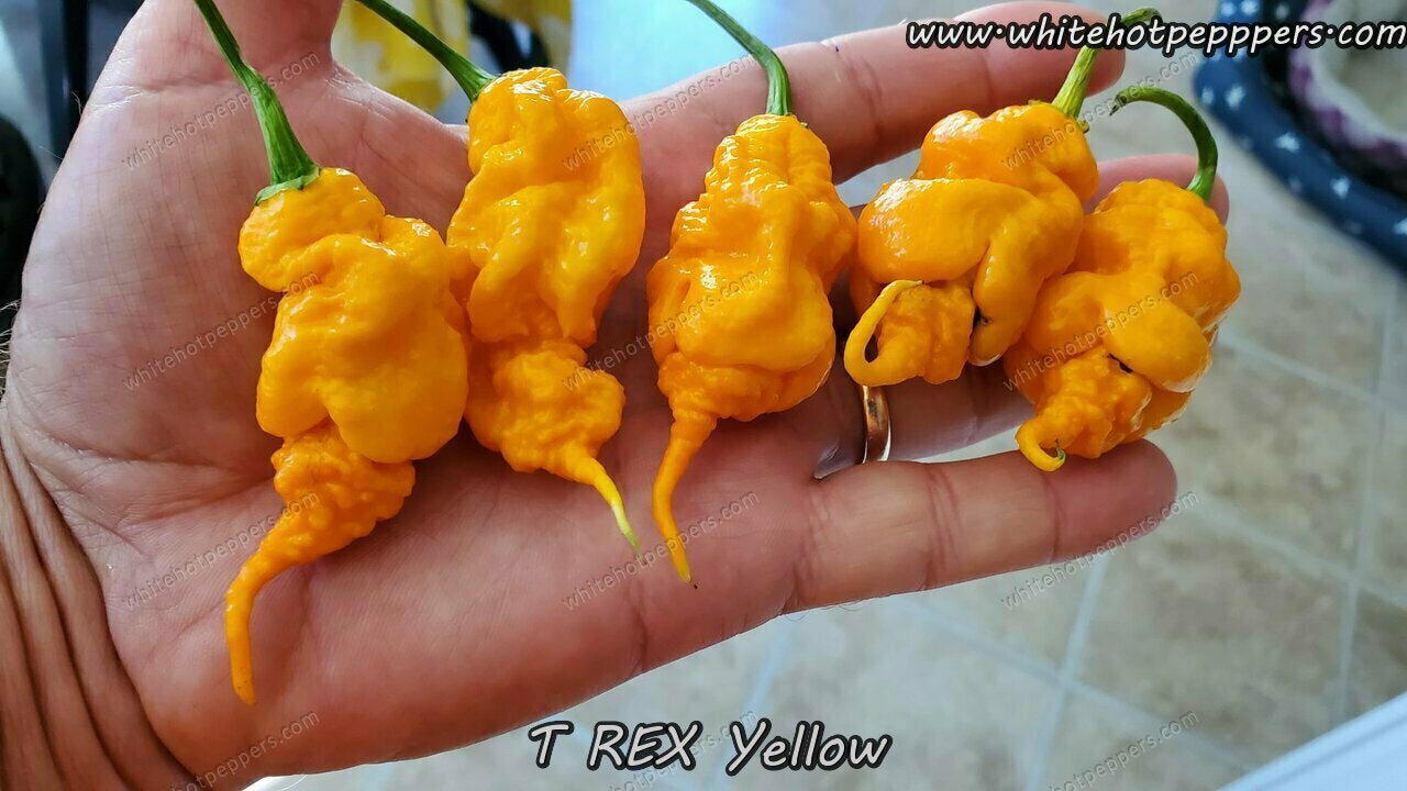 T-REX Yellow - Pepper Seeds - White Hot Peppers
