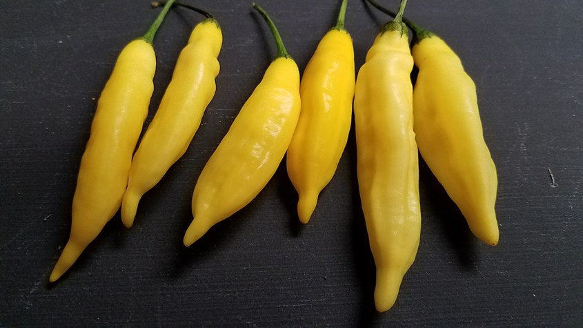 Aji Lemon Drop - Pepper Seeds - White Hot Peppers