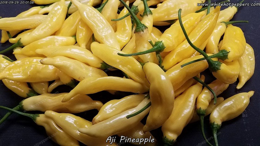 Aji Pineapple - Pepper Seeds - White Hot Peppers