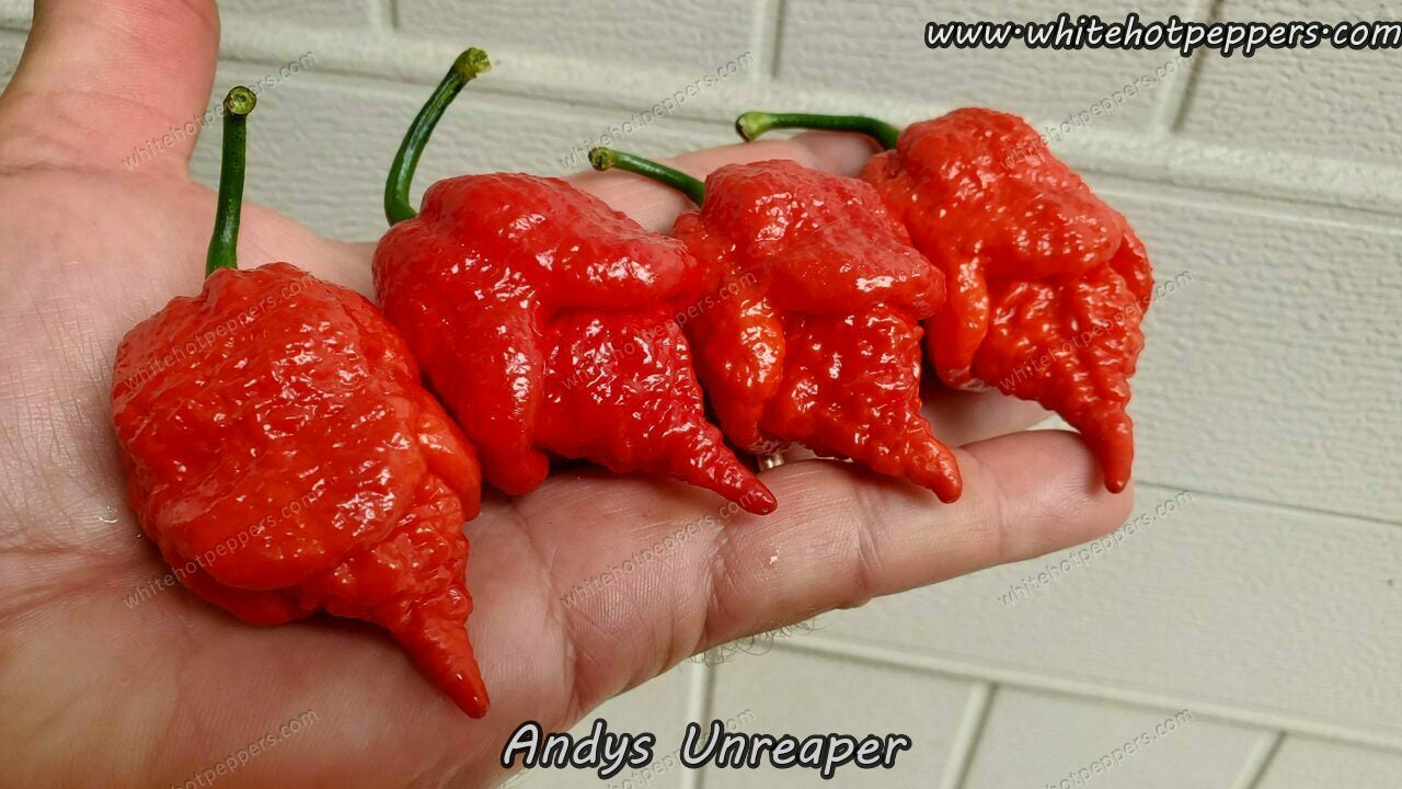 Andy's UnReaper - Pepper Seeds - White Hot Peppers