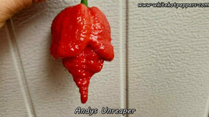 Andy's UnReaper - Pepper Seeds - White Hot Peppers