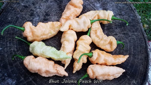 Bhut Jolokia (Ghost) Peach WM - Pepper Seeds - White Hot Peppers