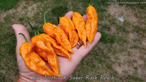 Bih Jolokia x Sugar Rush Peach - Pepper Seeds - White Hot Peppers
