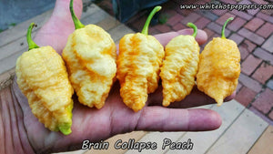 Brain Collapse Peach - Pepper Seeds - White Hot Peppers