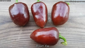 Brown Egg - Pepper Seeds - White Hot Peppers