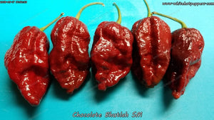 Chocolate Bhutlah (SM) - Pepper Seeds - White Hot Peppers