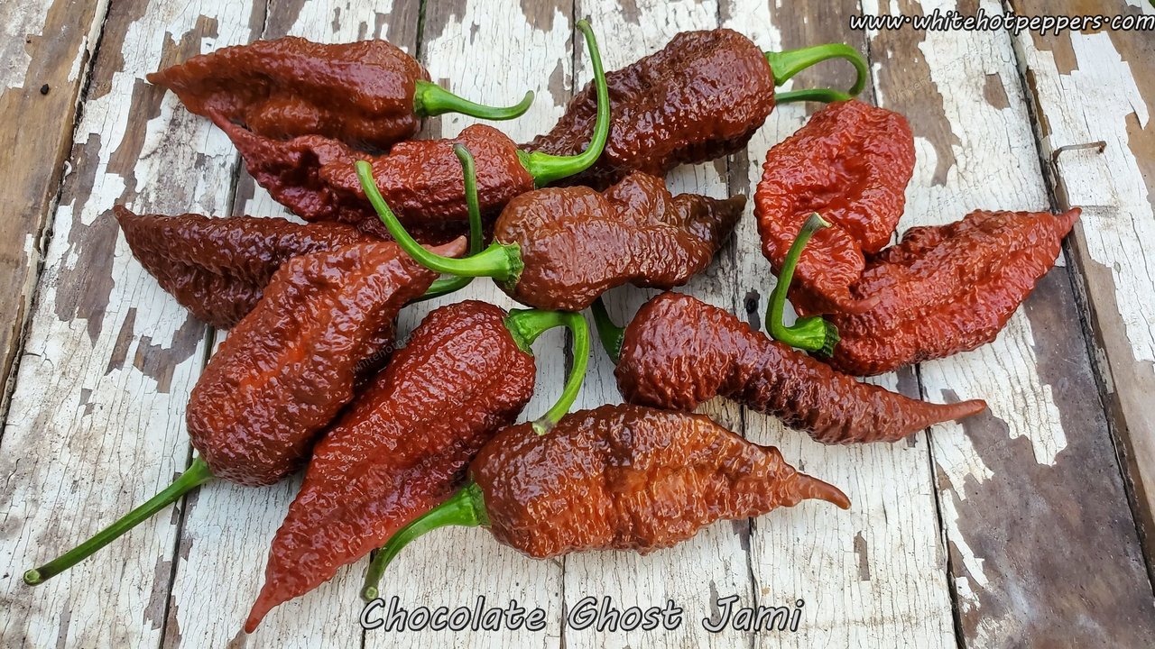 Chocolate Ghost Jami - Pepper Seeds - White Hot Peppers