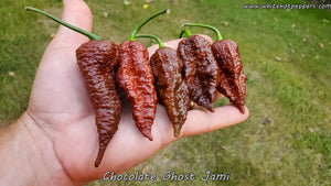 Chocolate Ghost Jami - Pepper Seeds - White Hot Peppers