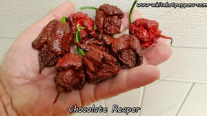 Chocolate Reaper - Pepper Seeds - White Hot Peppers