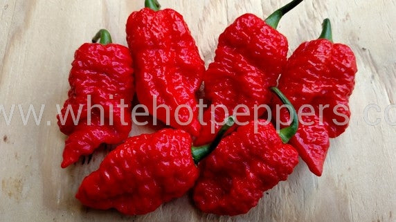 Genghis Kahn's Brain - Pepper Seeds - White Hot Peppers
