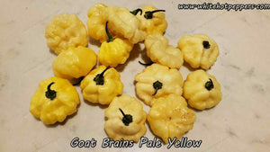 Goat Brains (Pale Yellow) - Pepper Seeds - White Hot Peppers
