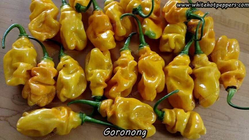 Goronong - Pepper Seeds - White Hot Peppers