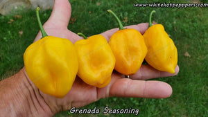 Grenada Seasoning - Pepper Seeds - White Hot Peppers